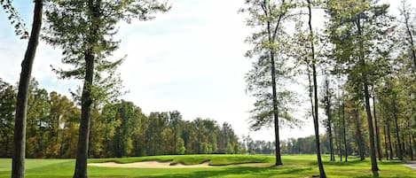 A golf course with trees, sand bunkers, and a clear sky.