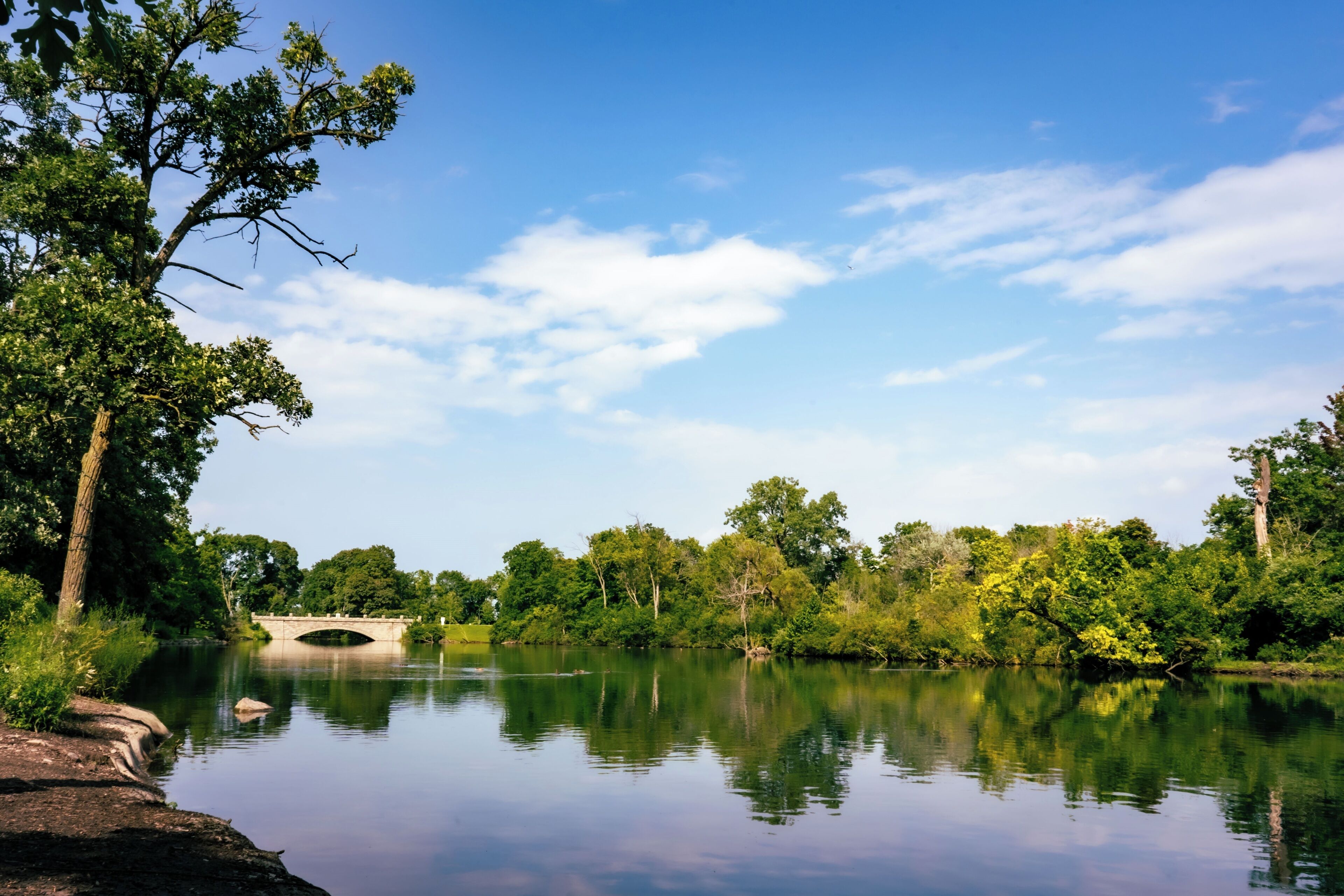 A calm river with a stone bridge, surrounded by lush greenery and trees.