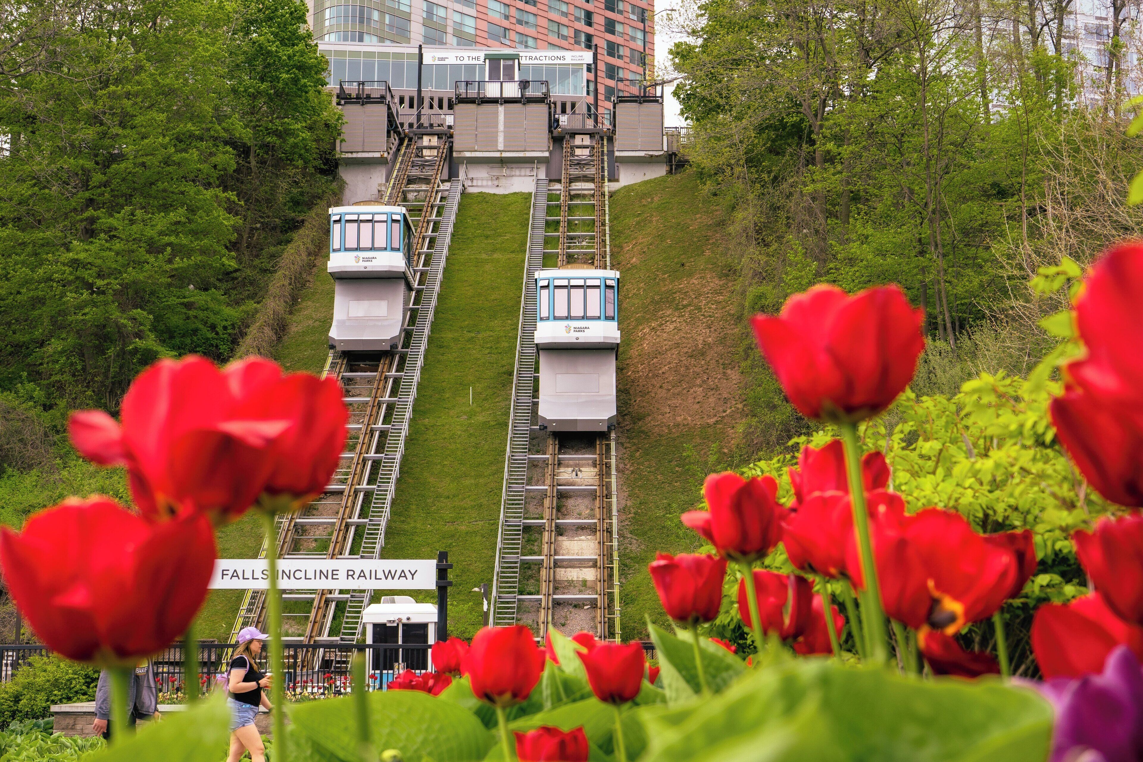 Photo - Niagara Fallsview Hotel & Suites