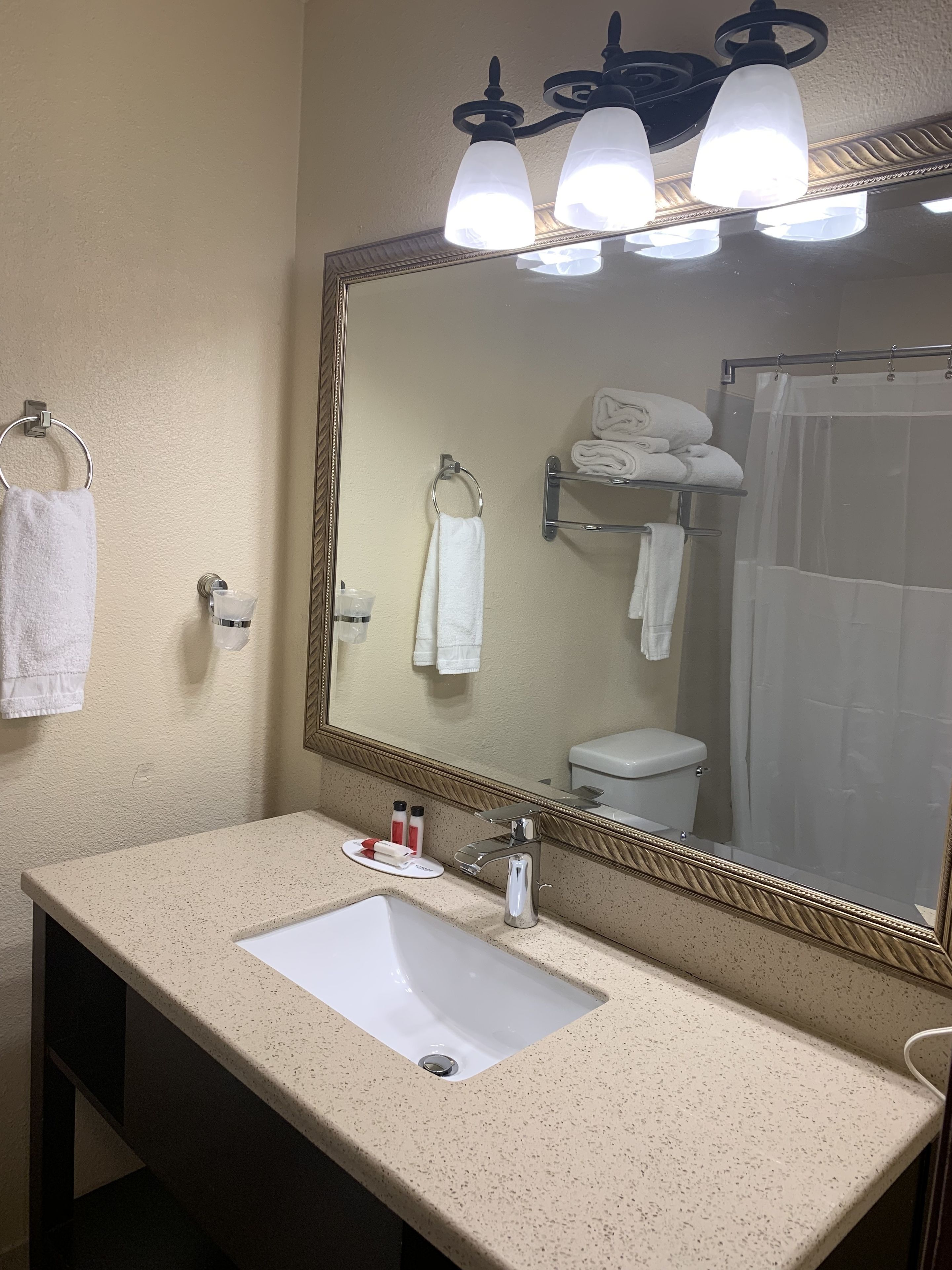 combined shower/bathtub, free toiletries, hair dryer, towels