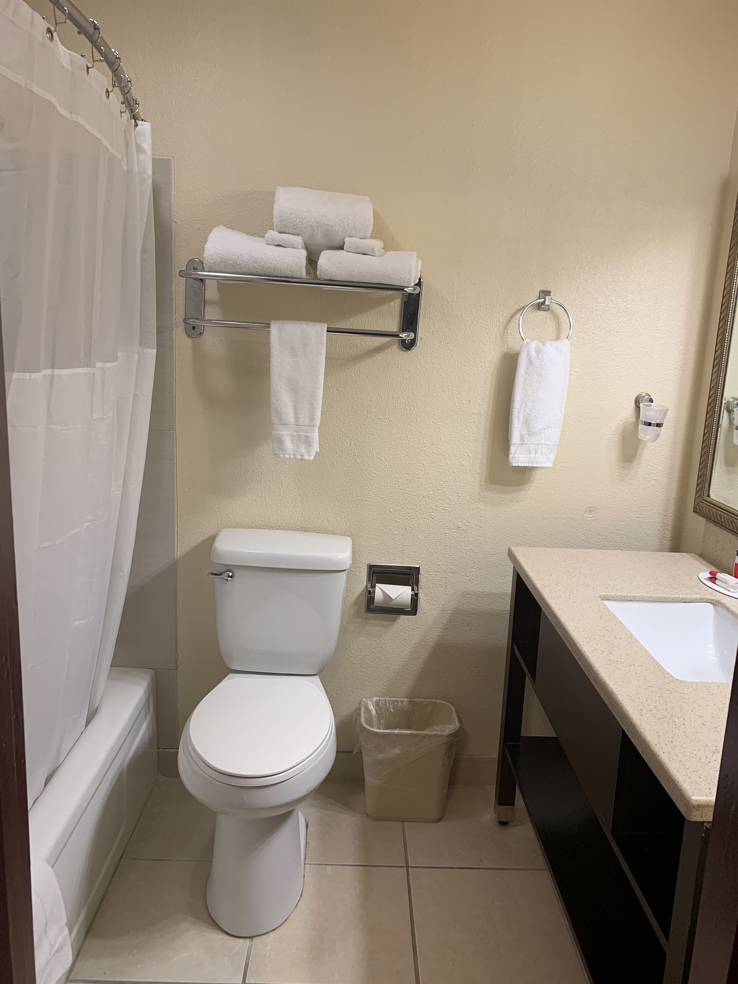 combined shower/bathtub, free toiletries, hair dryer, towels