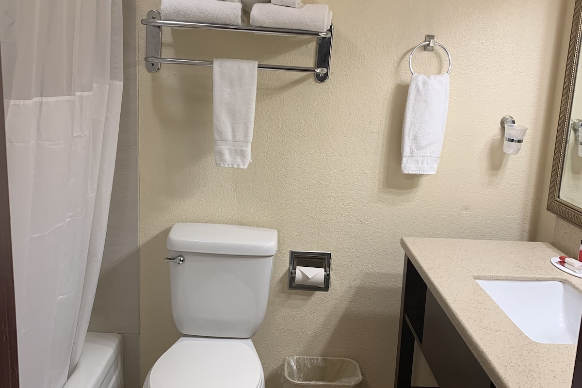 combined shower/bathtub, free toiletries, hair dryer, towels