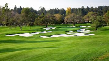 Golfe