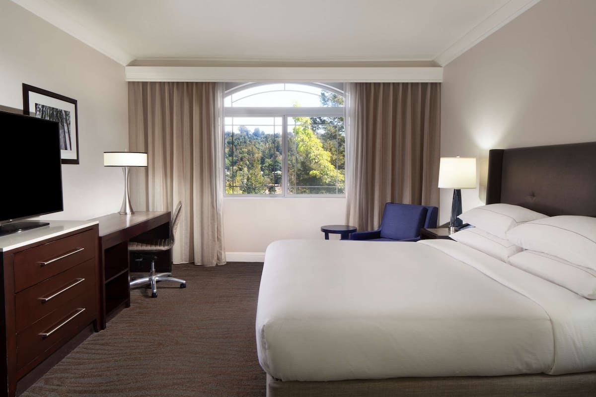Ein Hotelzimmer mit einem großen Bett, einem Schreibtisch mit Stuhl, einem Fernseher und einem Fenster mit Vorhängen.