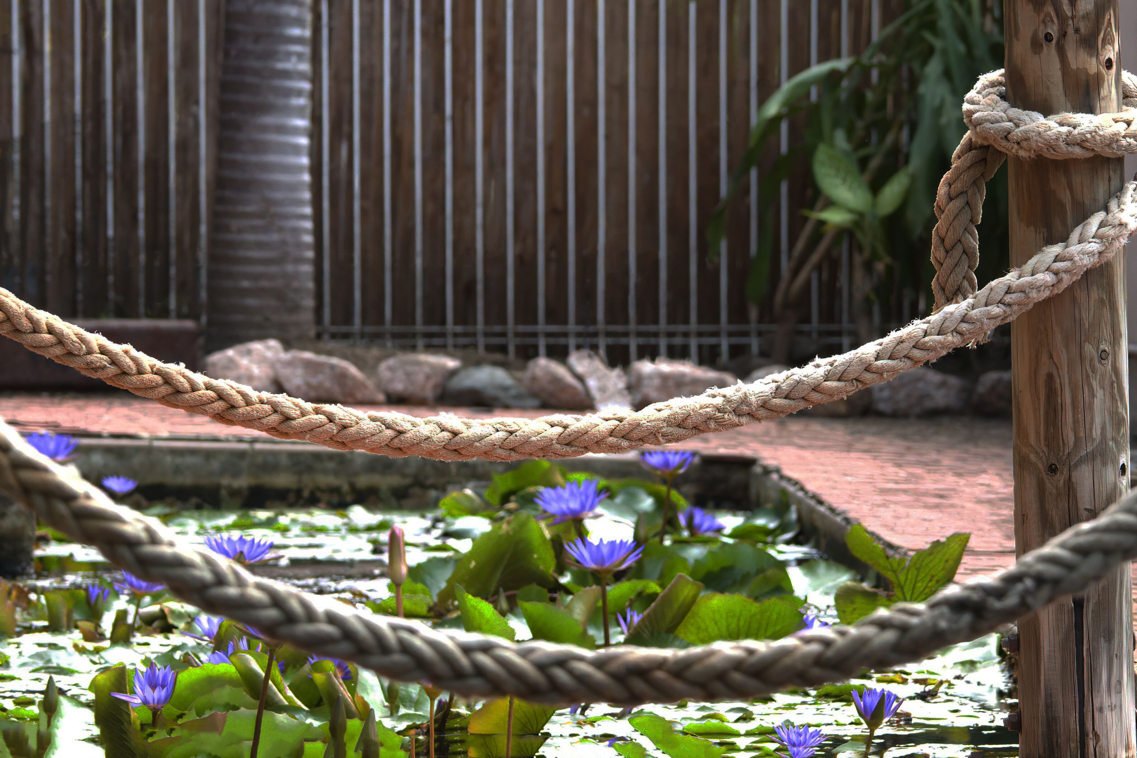 Photo - Hotel Tropiq