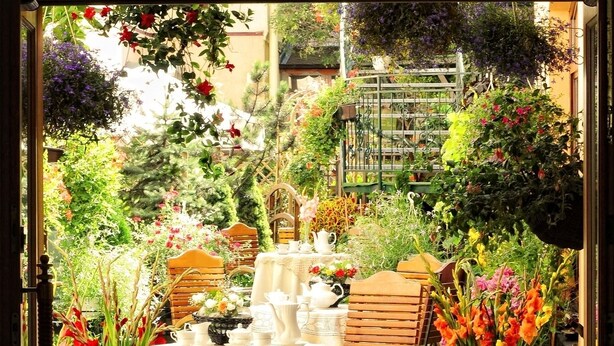 An outdoor dining area with a table set for two, surrounded by lush greenery and various plants. - Hotel Europejski (Kraków)
