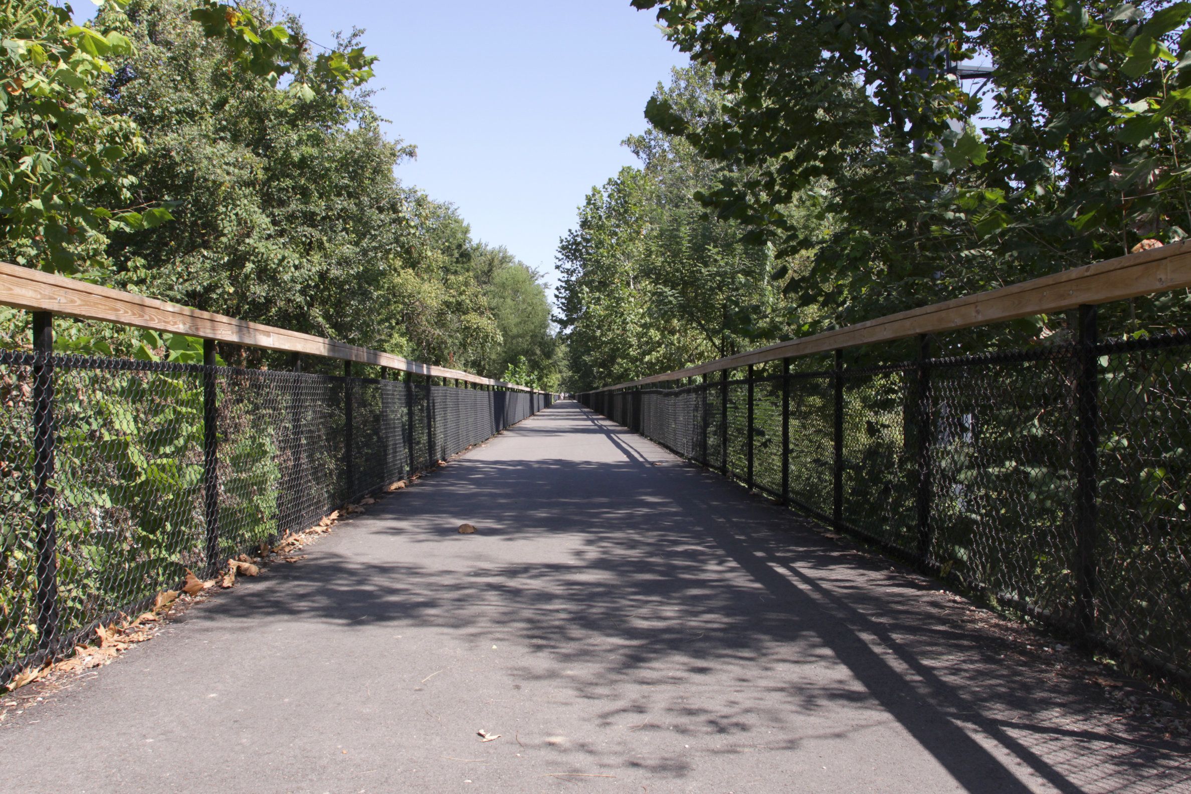 A pathway flanked by chain-link fences and wooden railings, leading through a wooded area.