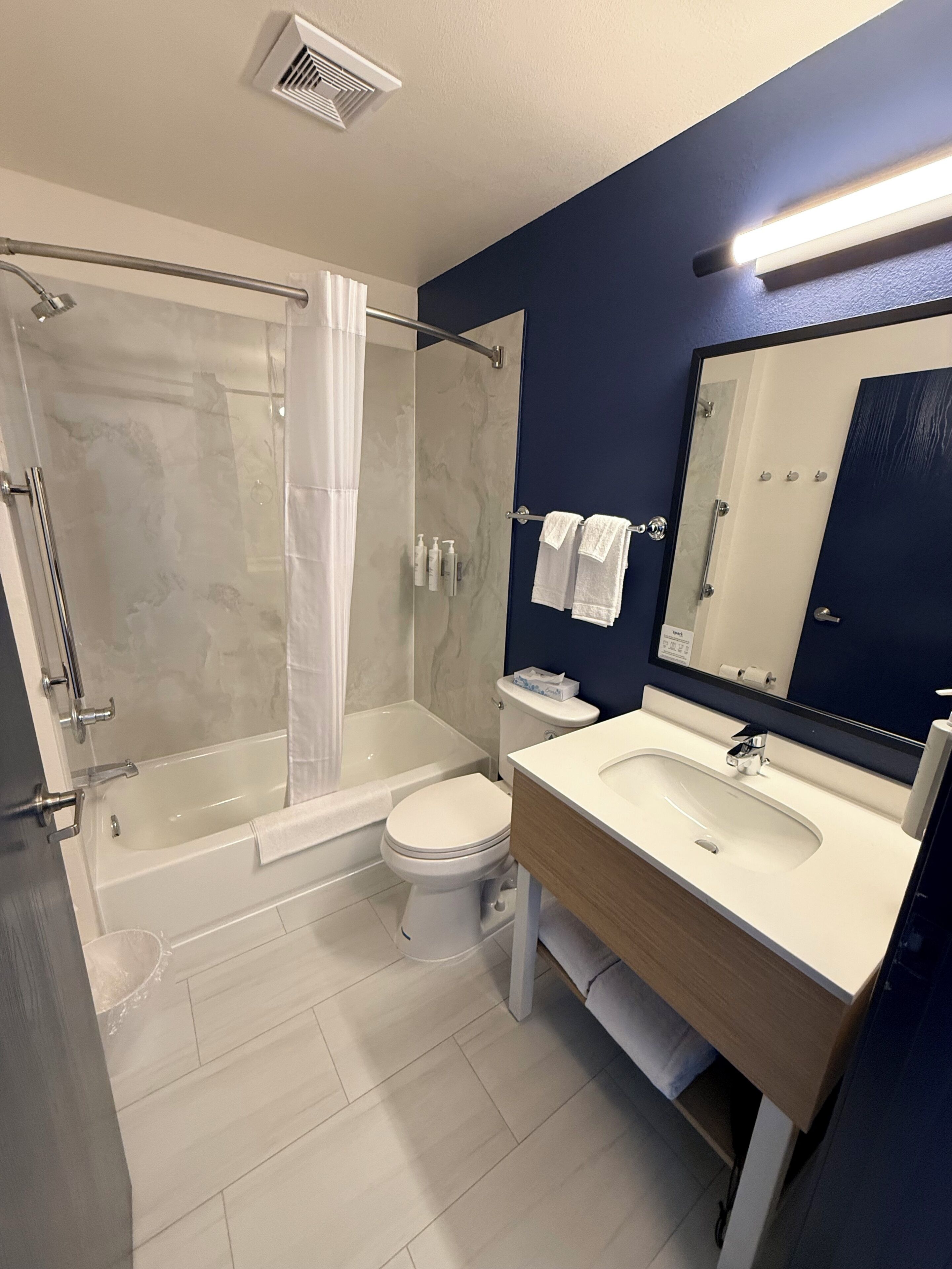 Hair dryer, towels, shampoo, toilet paper