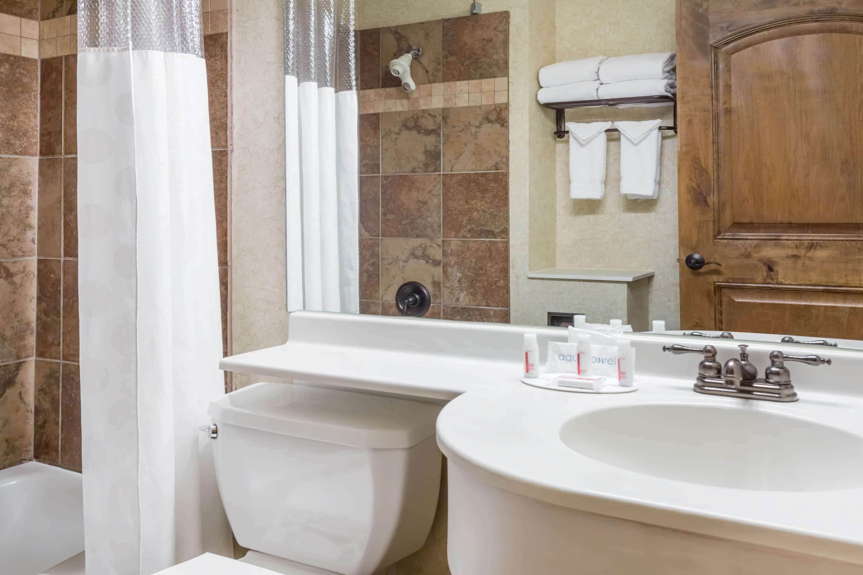 Un bagno con servizi igienici, lavandino e doccia.
