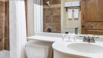 Un baño con inodoro, lavabo y ducha.