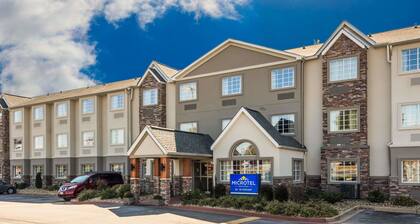 Microtel Inn & Suites by Wyndham Greenville / Woodruff Rd