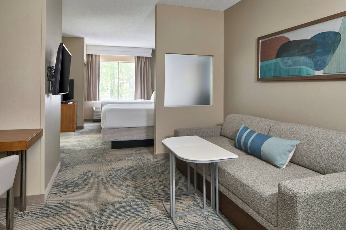 Ein Hotelzimmer mit Bett, einer Couch, einem kleinen Tisch, einem Fernseher und einem Bild an der Wand.