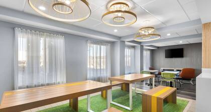 Spark by Hilton Calhoun