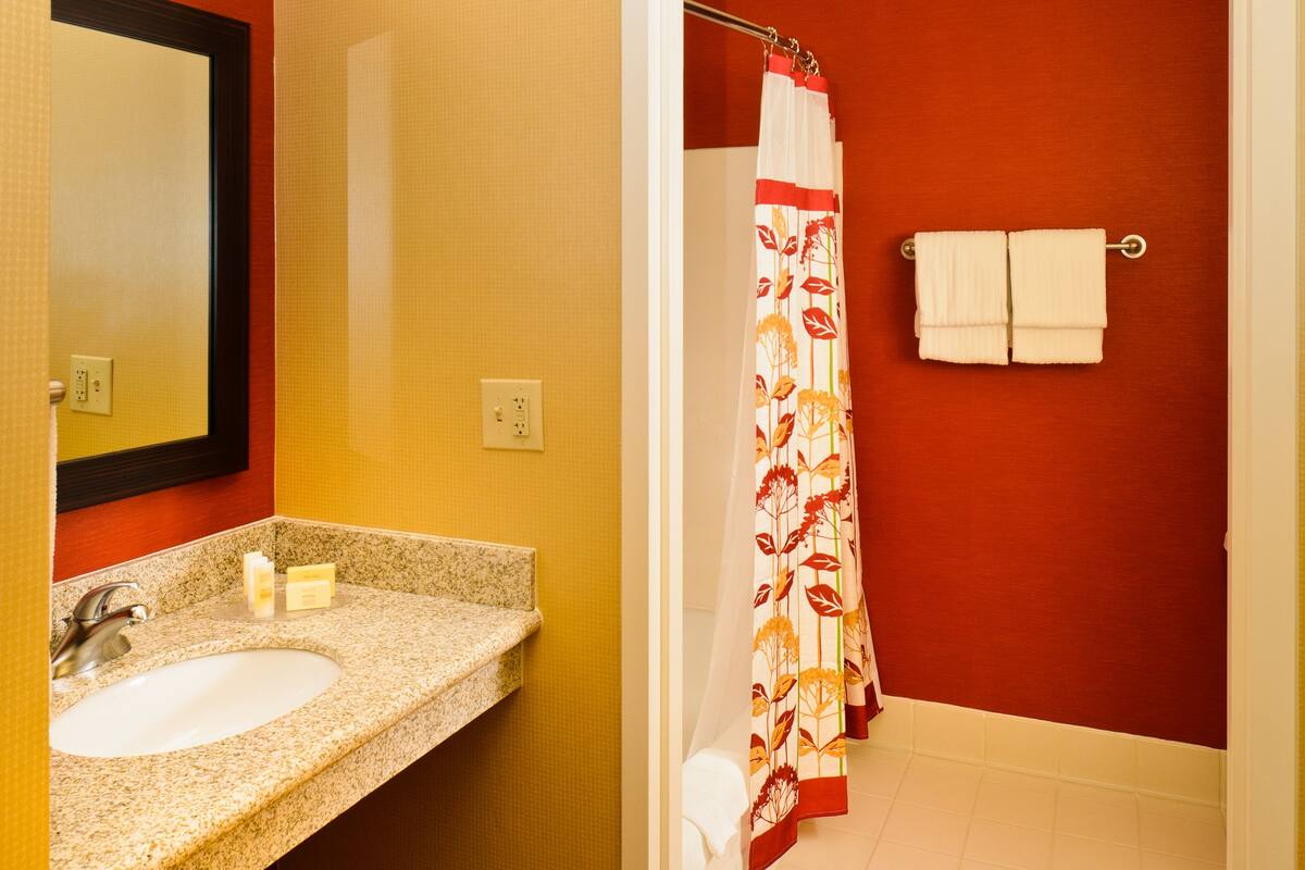 Une salle de bain avec un lavabo, un miroir et un rideau de douche.
