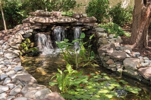 Vistas desde el alojamiento