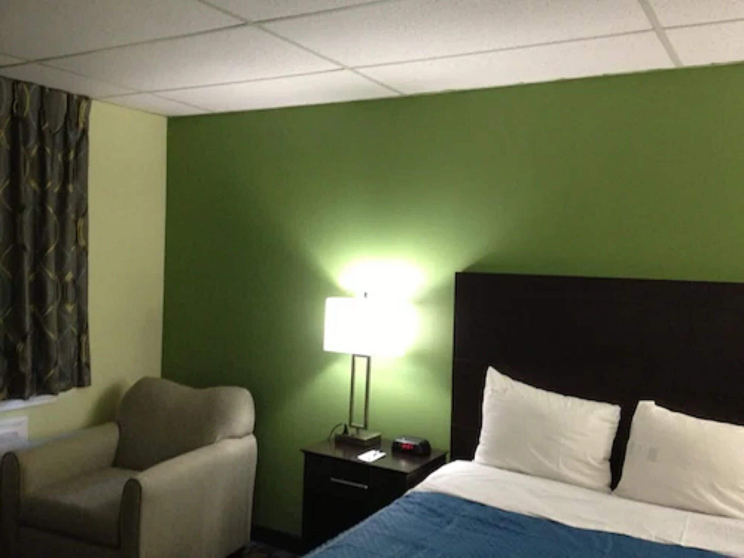 Una habitación de hotel con pared verde, una cama con ropa de cama blanca y azul, una mesita de noche con lámpara y una silla.