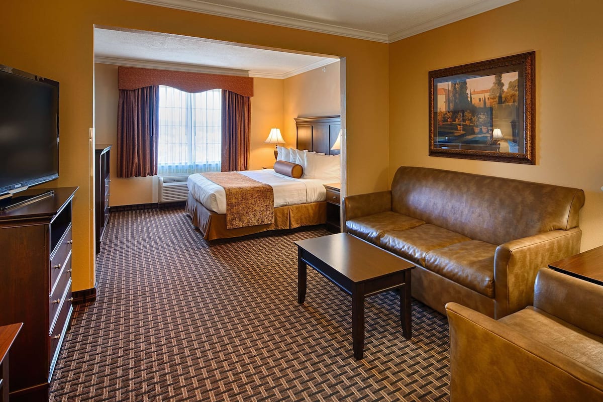 standard room, 1 king bed, non smoking, refrigerator & microwave (with single sofabed;larger room) | in-room safe, iron/ironing board, free wifi, bed sheets