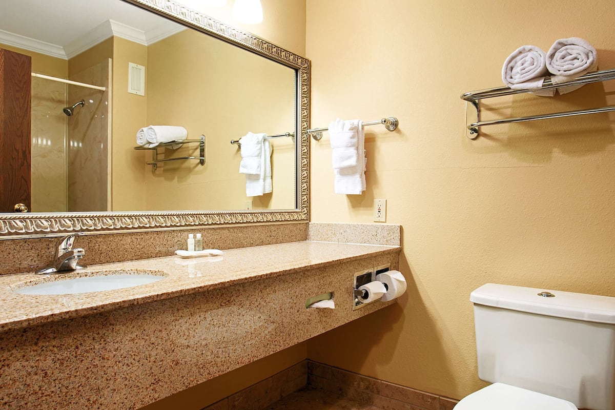 combined shower/bathtub, free toiletries, hair dryer, towels