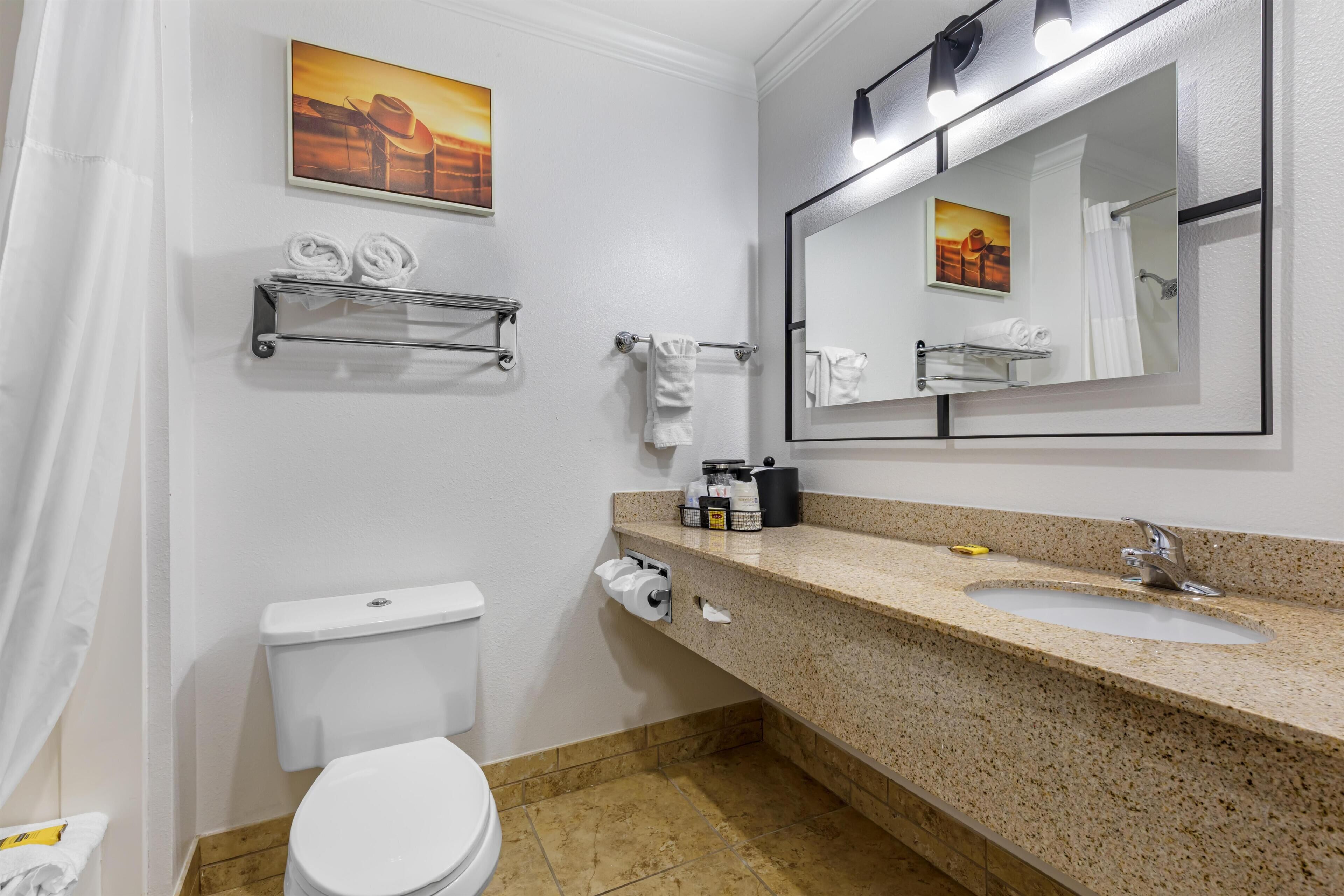 A bathroom with a toilet, sink, towel rack, and a mirror.