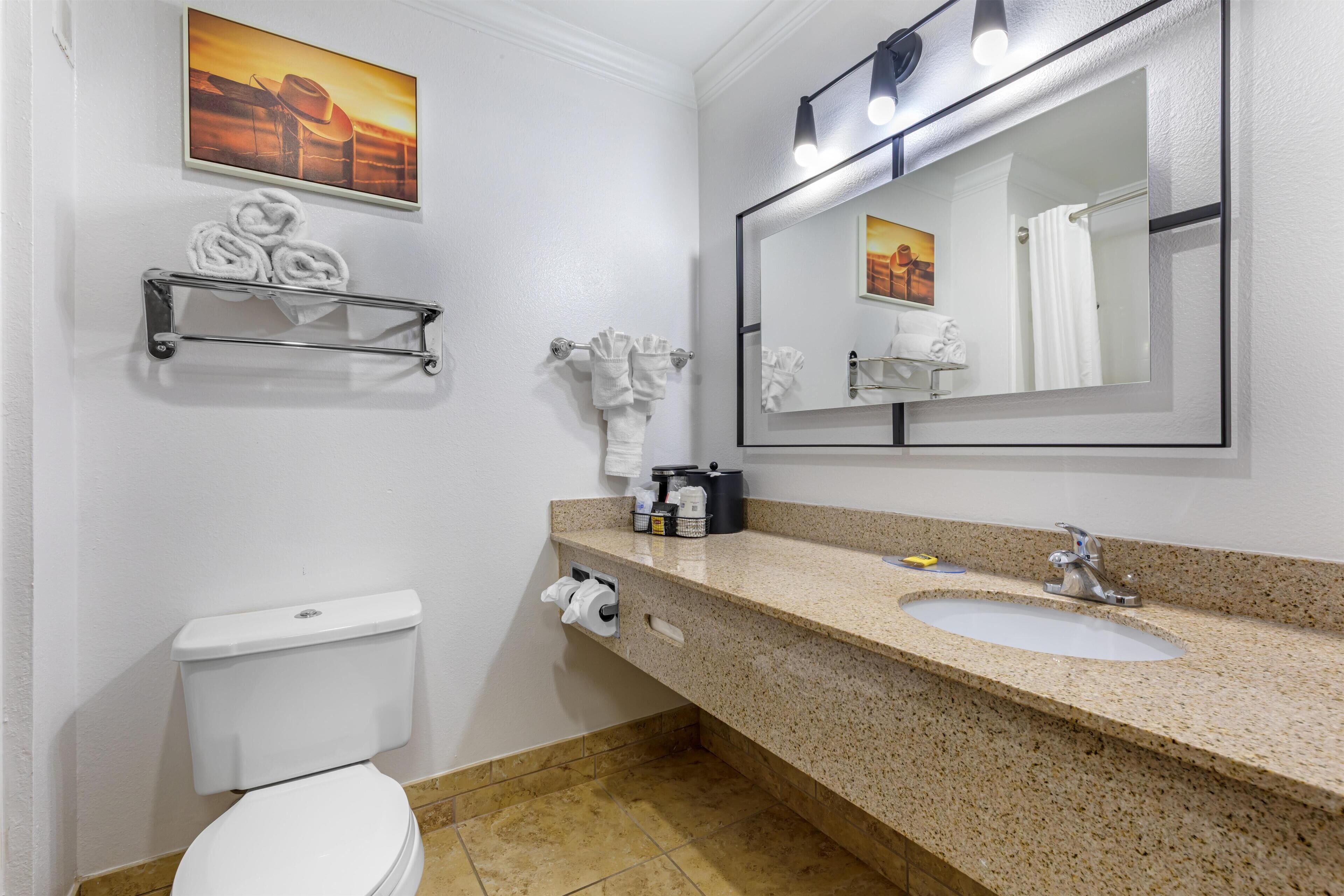 Une salle de bain comprenant des toilettes, un lavabo, un porte-serviettes, un miroir et un tableau accroché au mur.