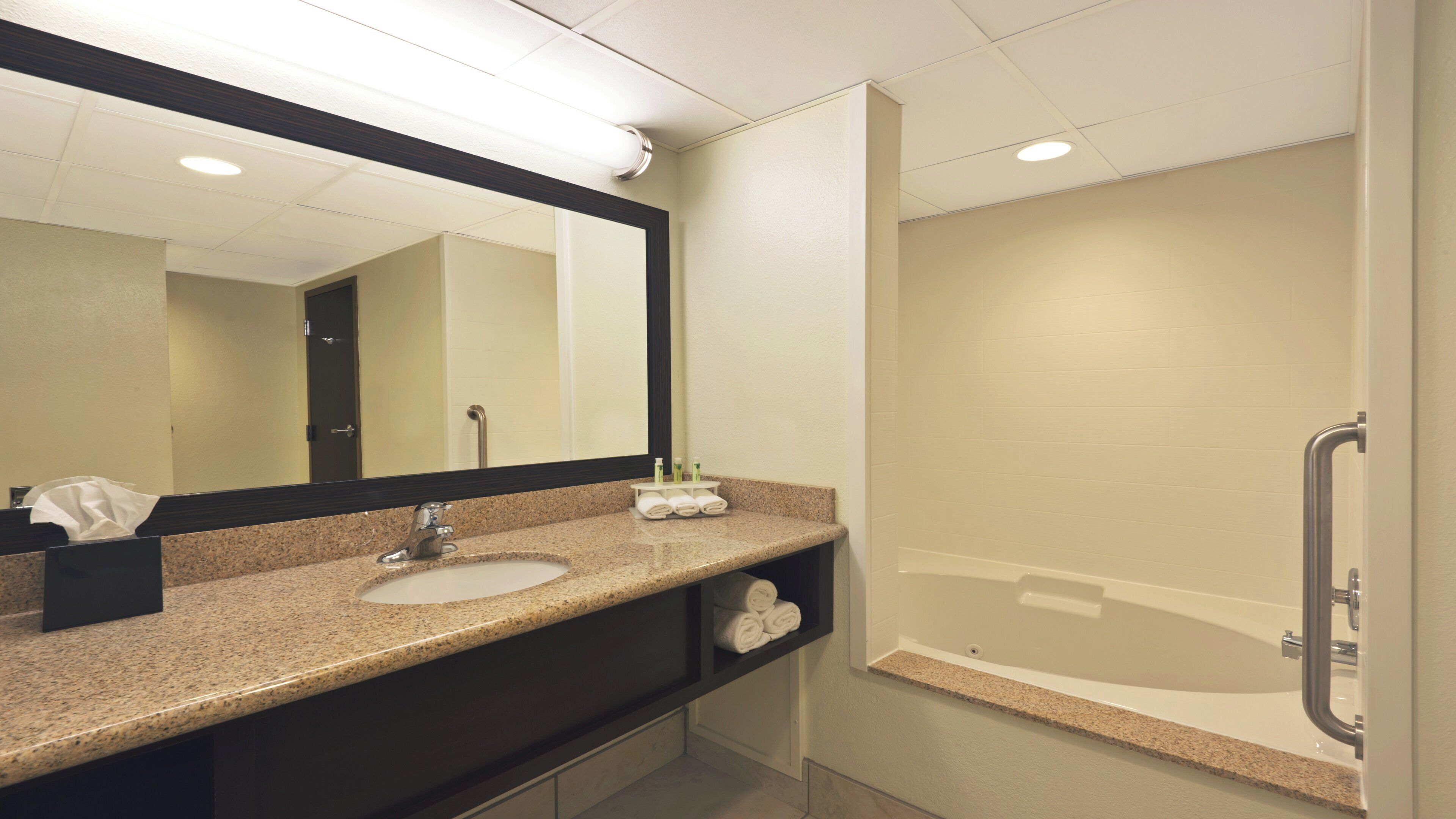 A bathroom with a granite countertop, two sinks, a large mirror, and a walk-in shower with a grab bar.