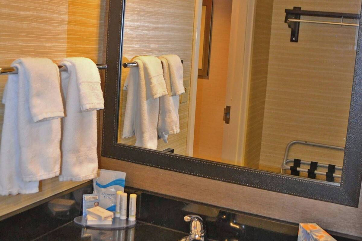 combined shower/bathtub, free toiletries, hair dryer, towels