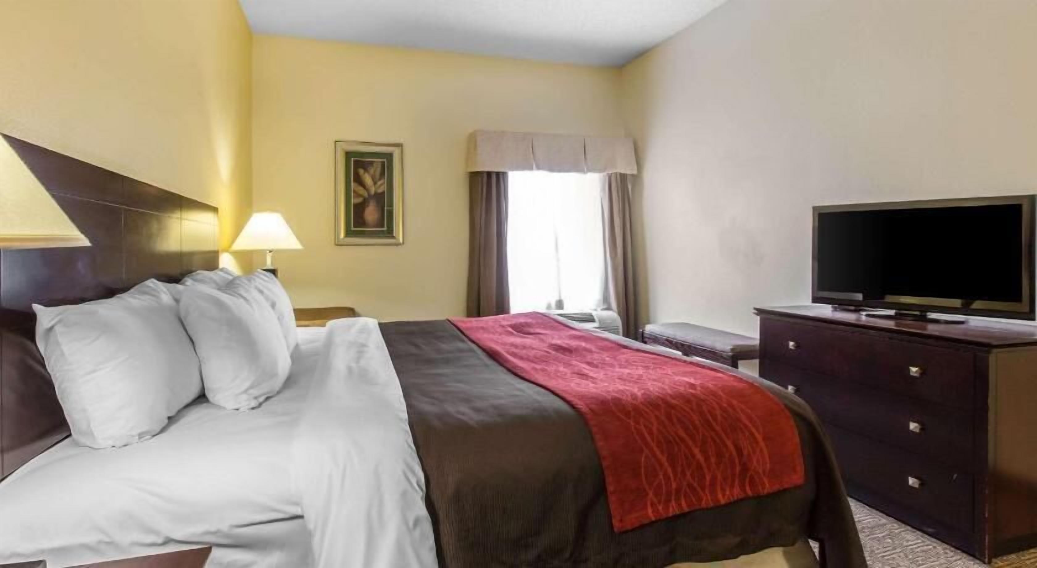 Ropa de cama hipoalergénica y decoración personalizada 