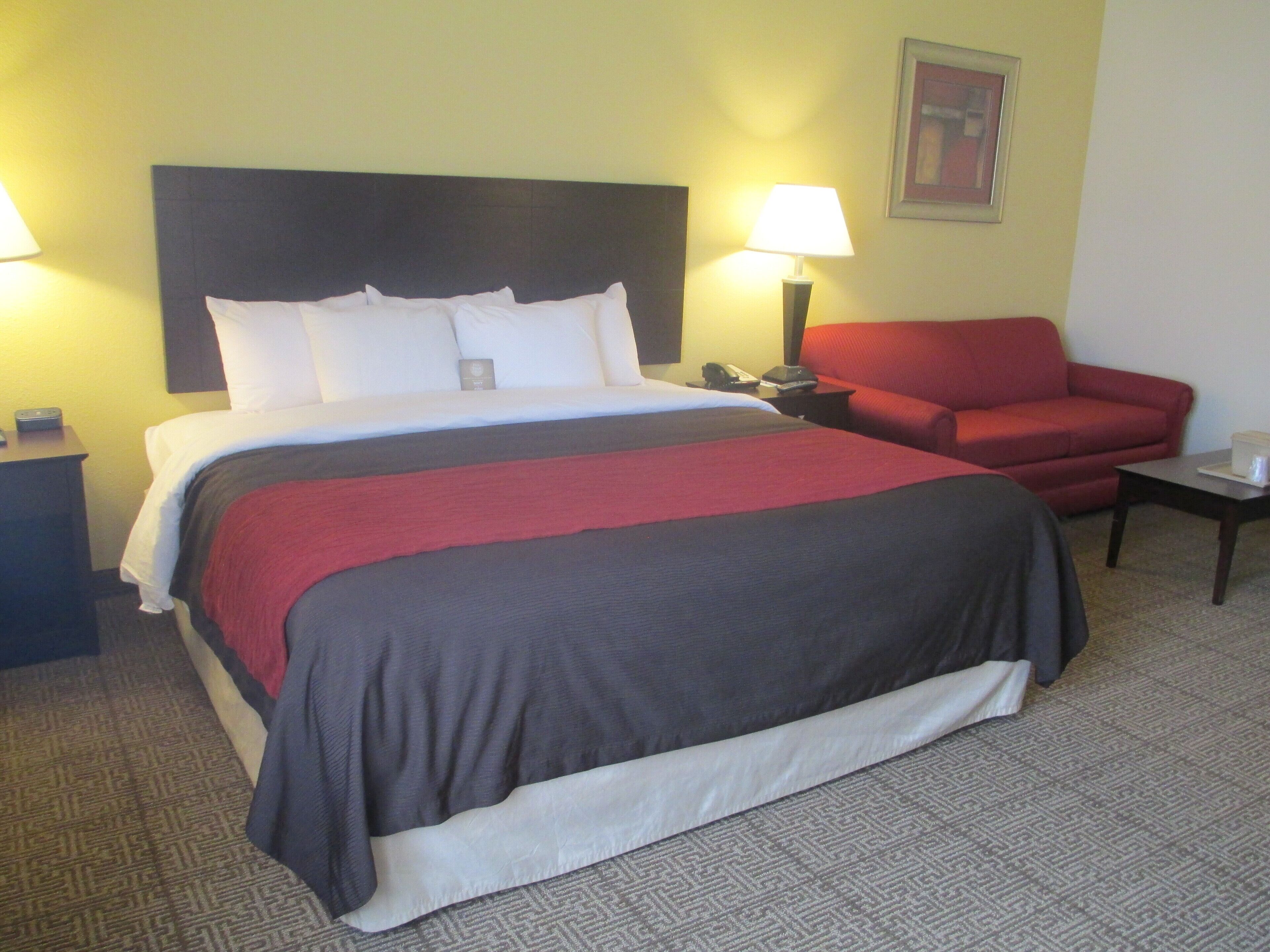 Standard Room, 1 King Bed with Sofa bed, Non Smoking | Hypo-allergenic bedding, individually decorated, individually furnished