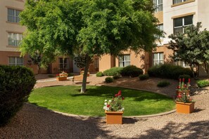 Pet-friendly amenities