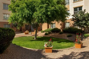 Pet-friendly amenities