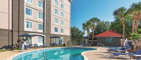 A swimming pool with lounge chairs and umbrellas, a building with multiple windows, and palm trees.