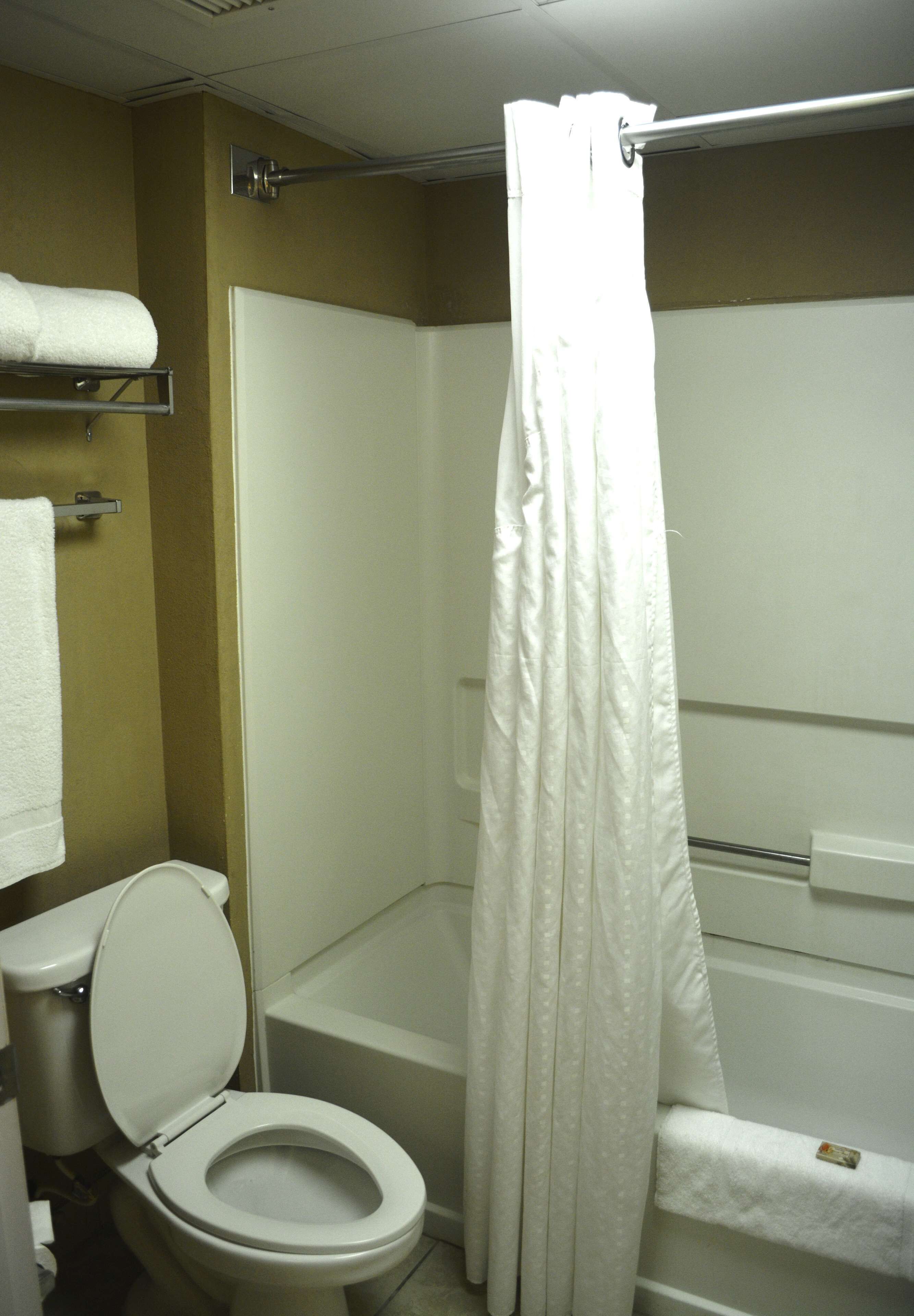 A bathroom with a toilet, a bathtub, and a shower curtain.