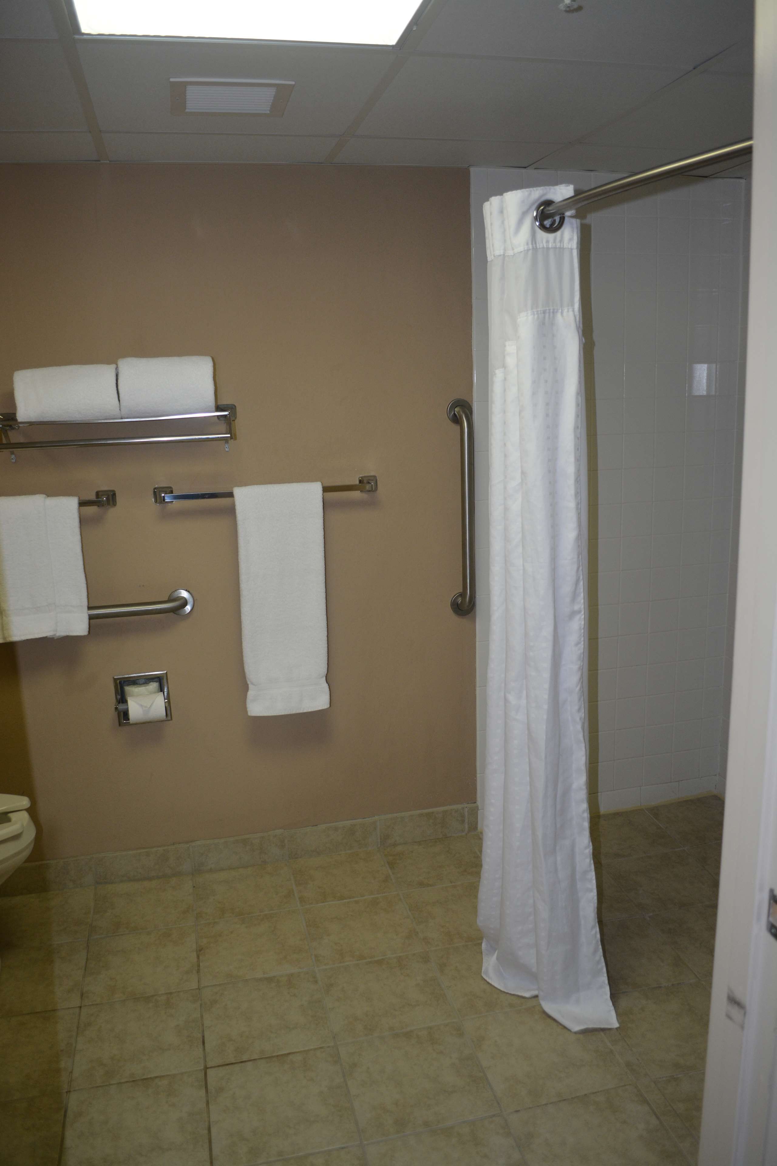 A bathroom with beige walls, a shower curtain, a toilet, and handrails.