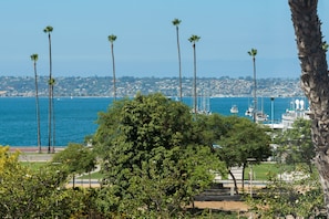 Beach/ocean view