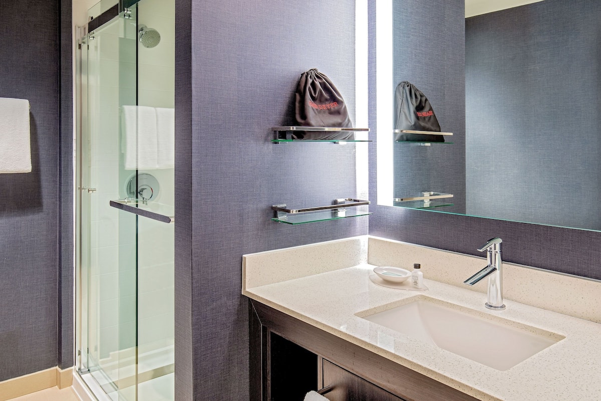 combined shower/bathtub, free toiletries, hair dryer, towels