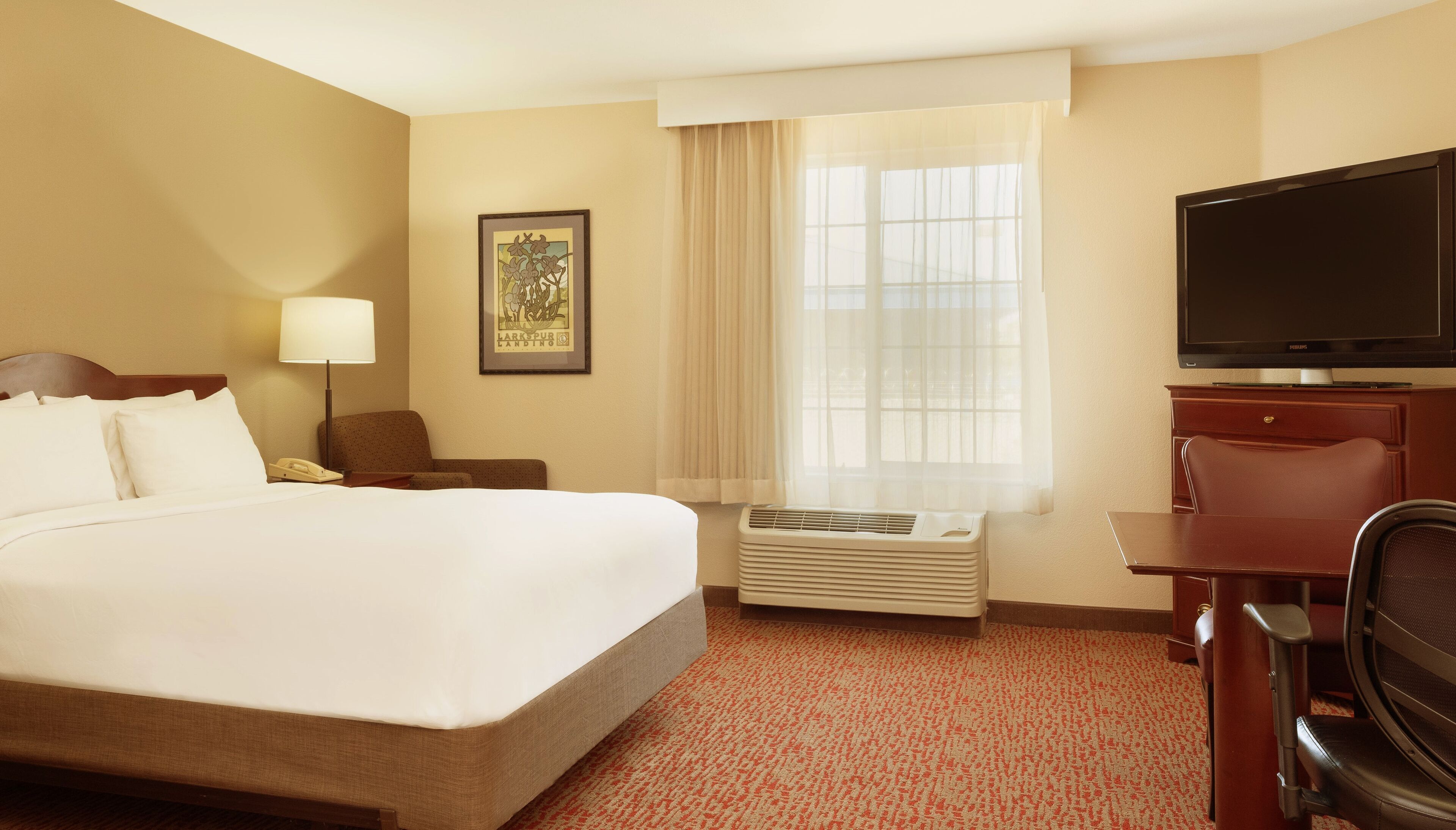 Hypo-allergenic bedding, desk, laptop workspace, blackout drapes