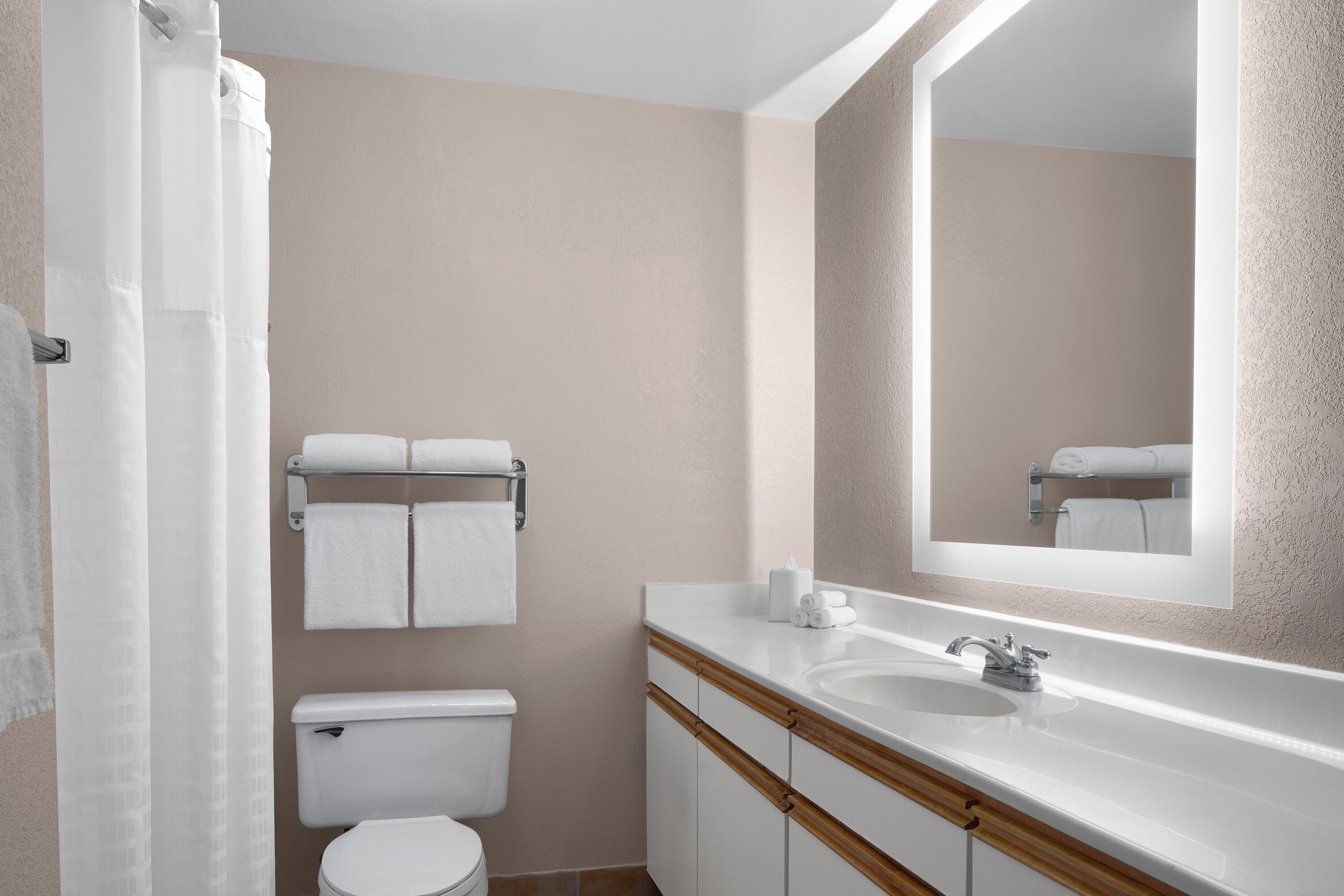 A bathroom with a toilet, sink, and towel rack.