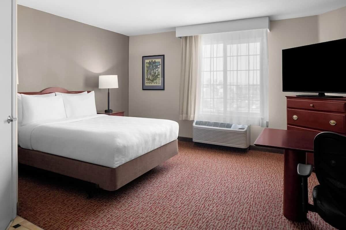 A hotel room with a bed, a desk, a chair, a television, a window with curtains, a framed picture on the wall, and a heater.