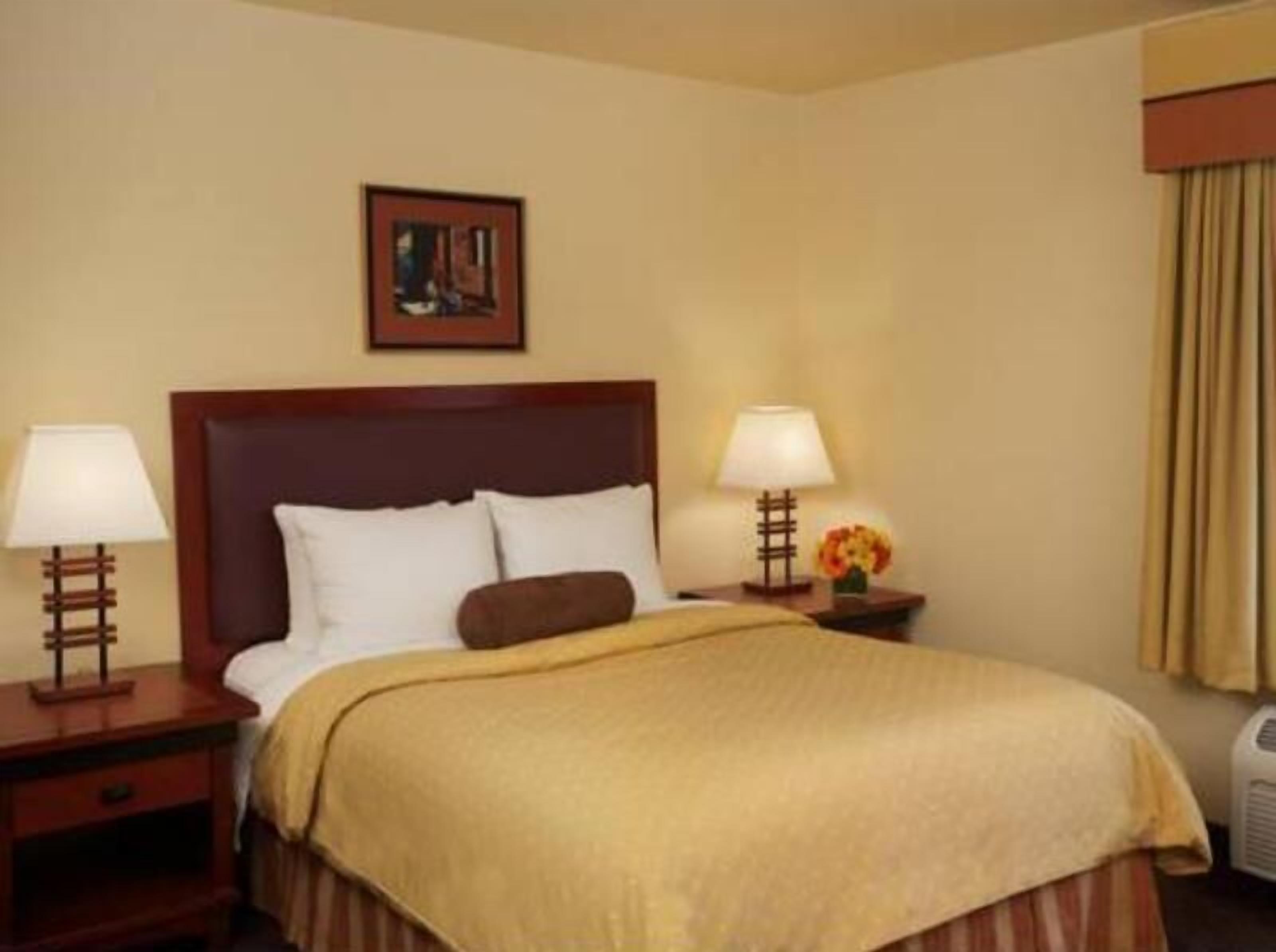 Hypo-allergenic bedding, desk, laptop workspace, blackout drapes