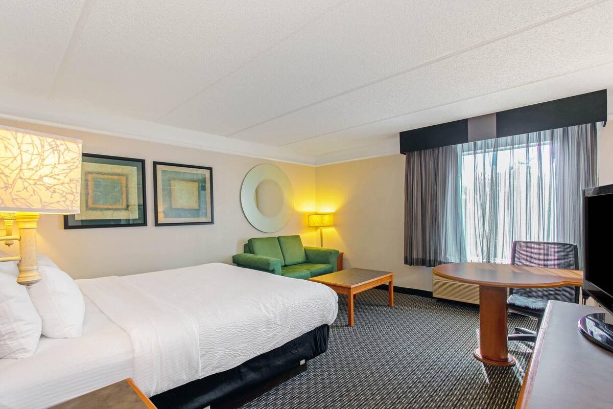 Une chambre d’hôtel avec un lit, un canapé vert, une petite table, une télévision et une fenêtre avec des rideaux.