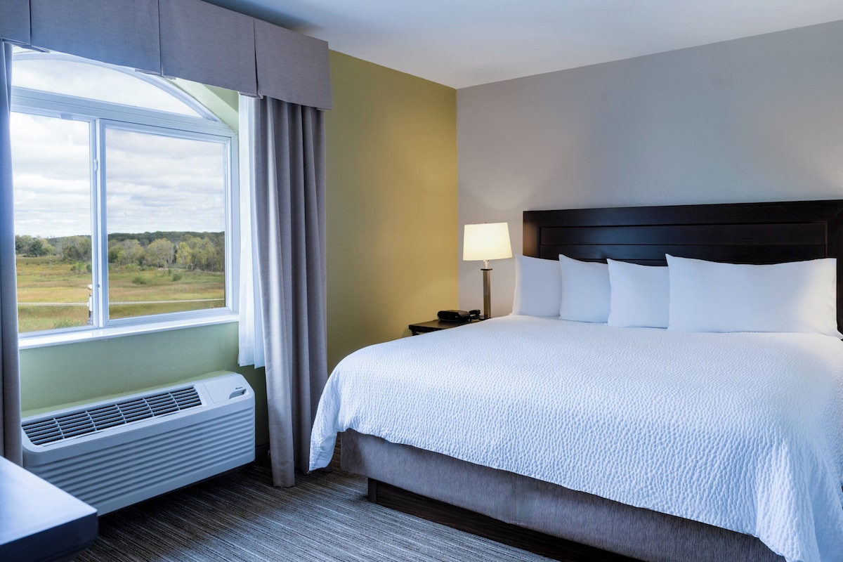 A hotel room with a large bed, a bedside table, a lamp, and a view of the outdoors.