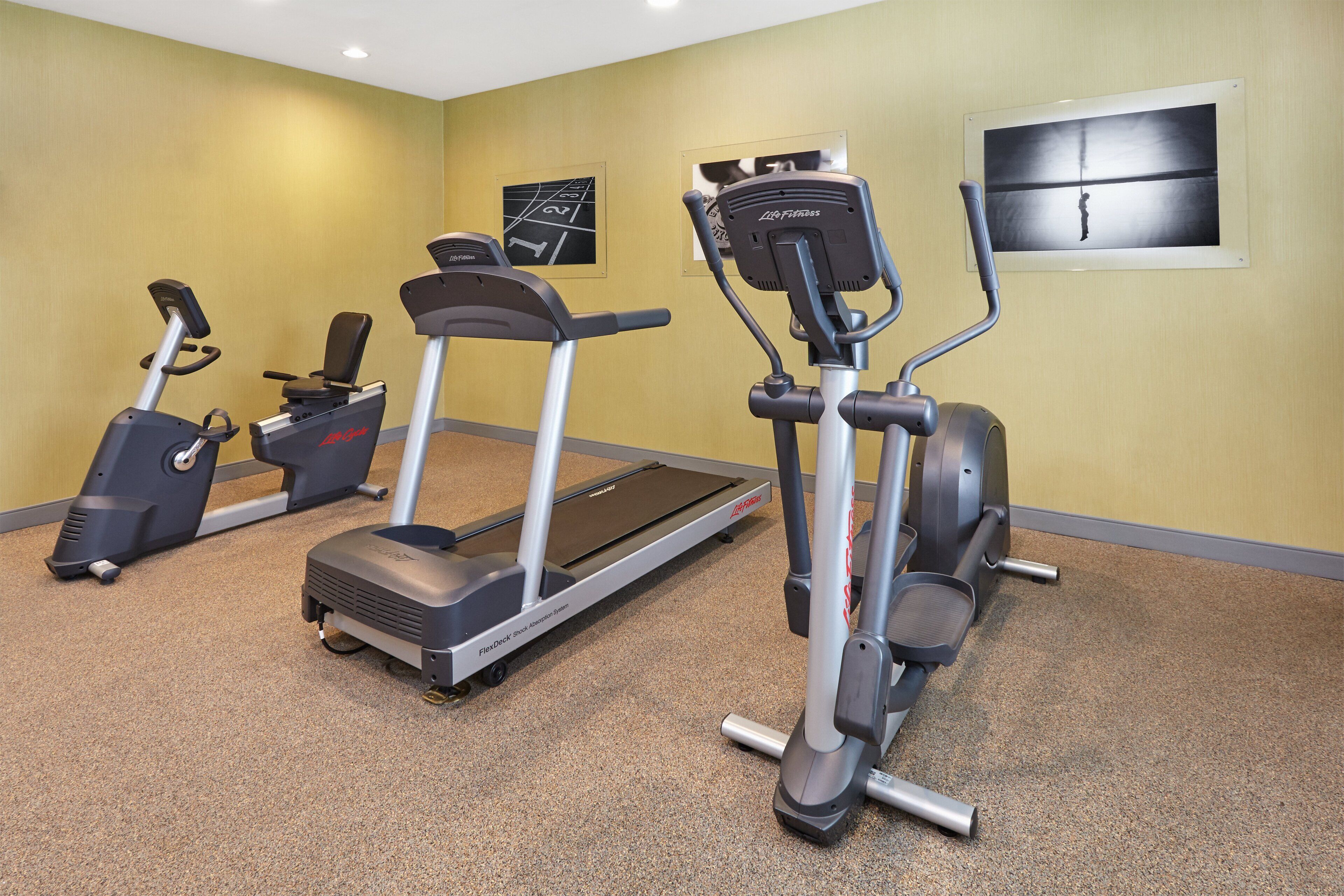 Sala de ginástica com esteiras, elípticos e bicicleta ergométrica.