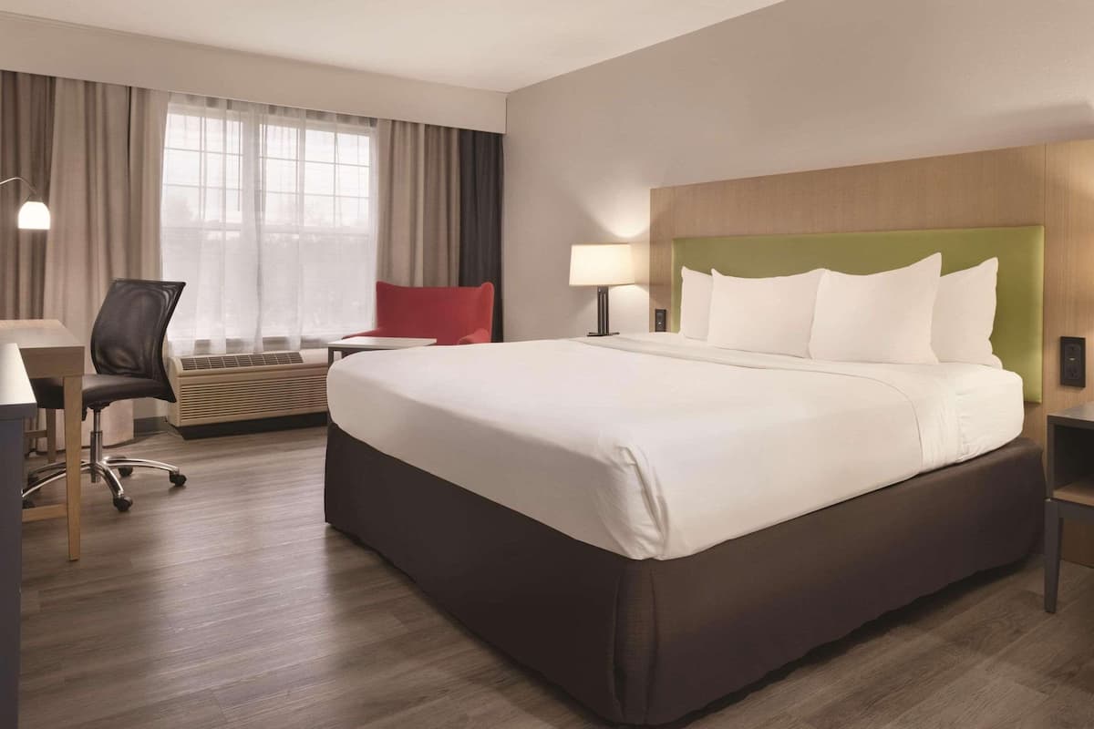 Room, 1 King Bed, Non Smoking | 1 bedroom, hypo-allergenic bedding, pillowtop beds, desk