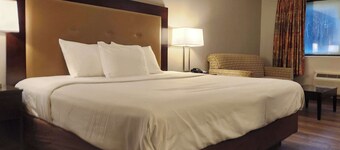 Econo Lodge Inn & Suites