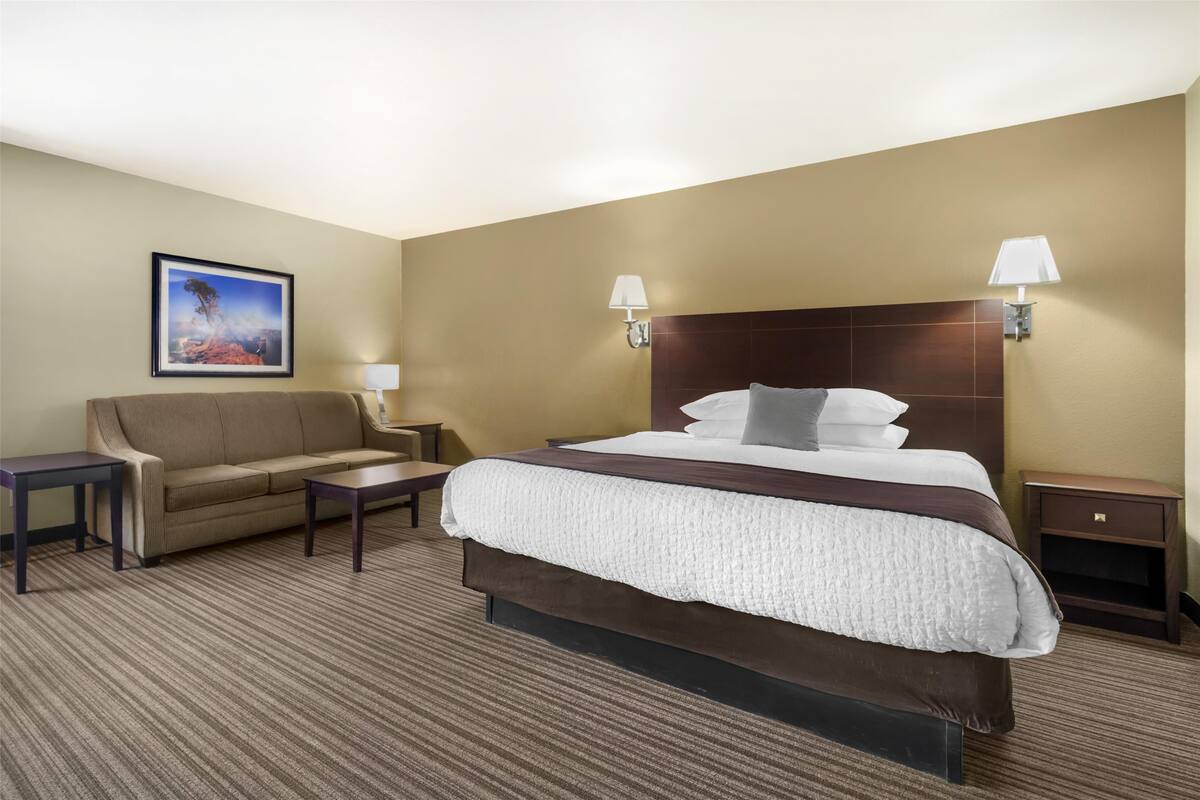Standard Room, 1 King Bed, Non Smoking, Refrigerator (with Sofabed) | In-room safe, desk, iron/ironing board, free WiFi