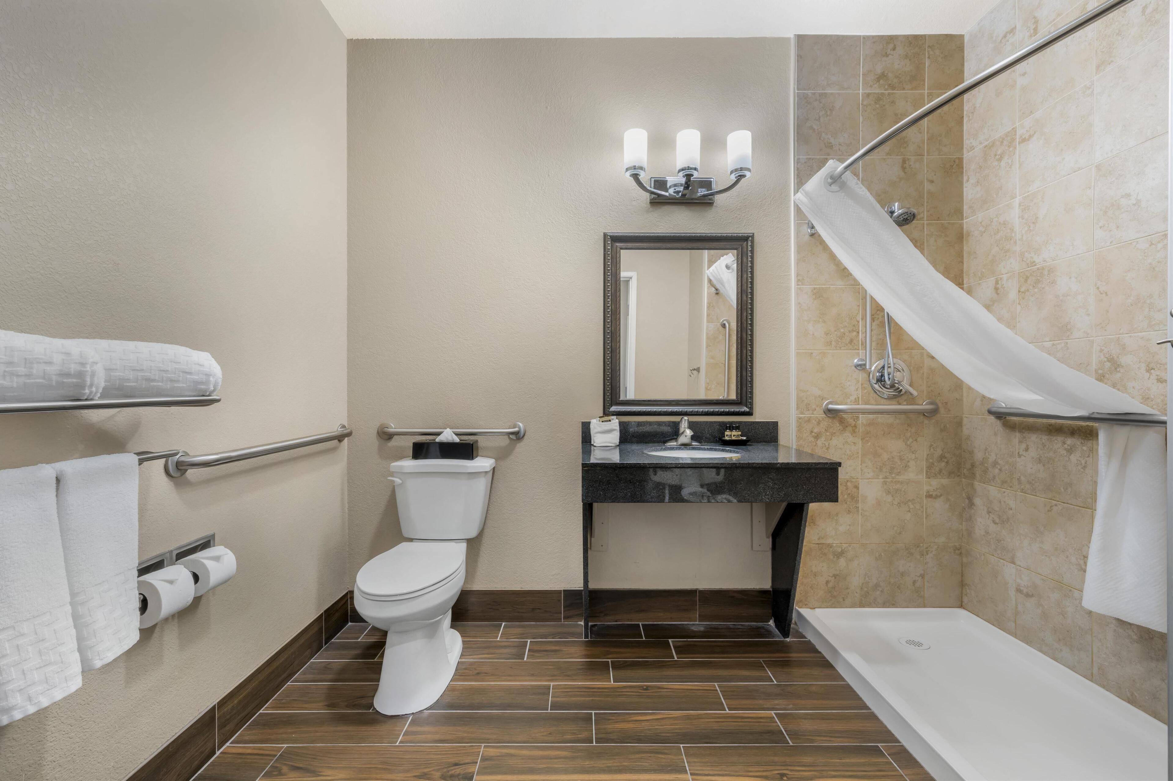 standard room, 1 queen bed, accessible, non smoking | bathroom | hydromassage showerhead, free toiletries, hair dryer, towels