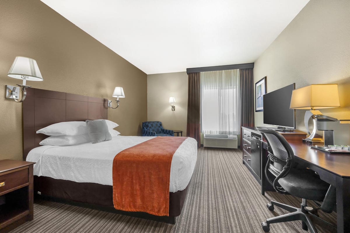 A hotel room with a bed, a desk, a chair, a television, and a window with curtains.