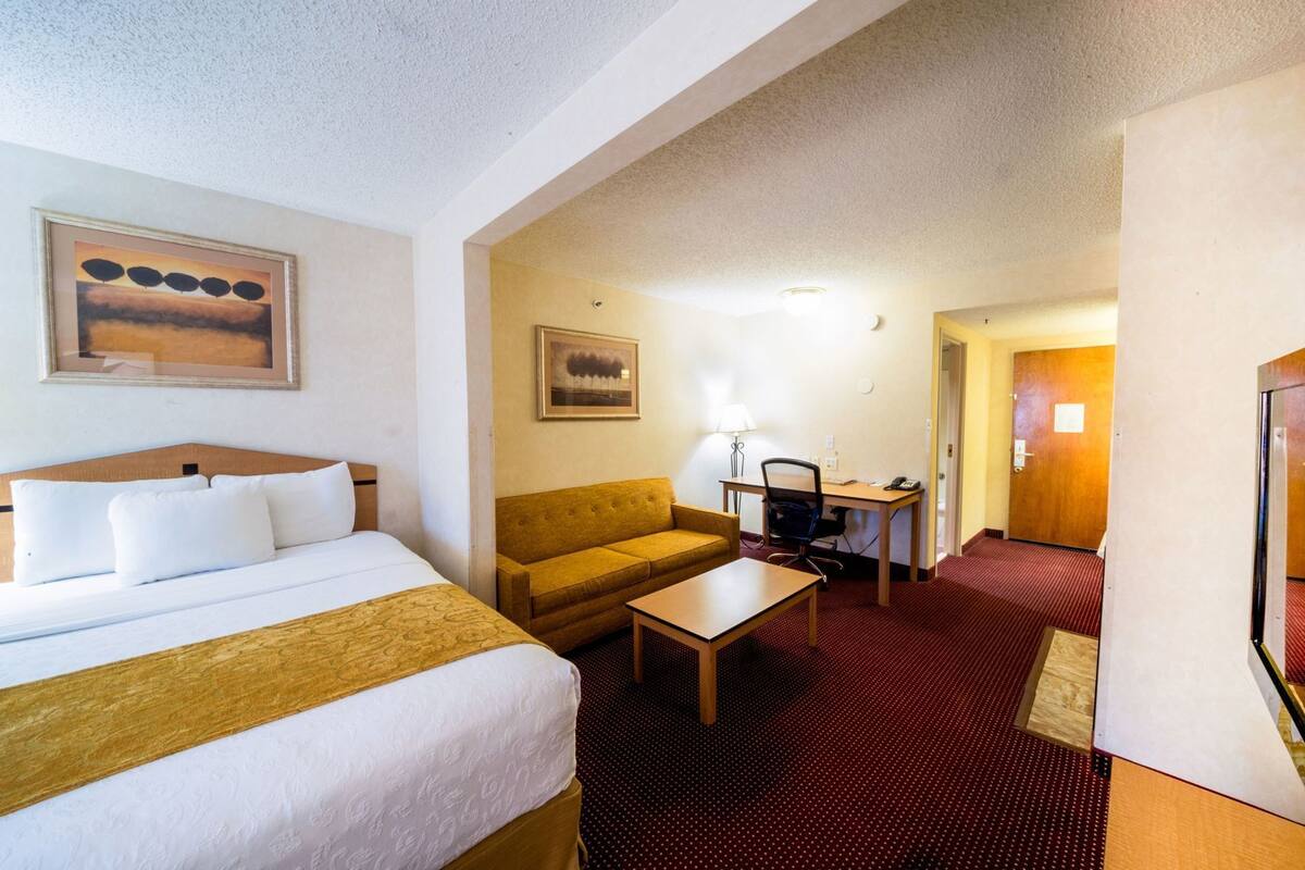 A hotel room with a bed, a sofa, a desk, and a chair.