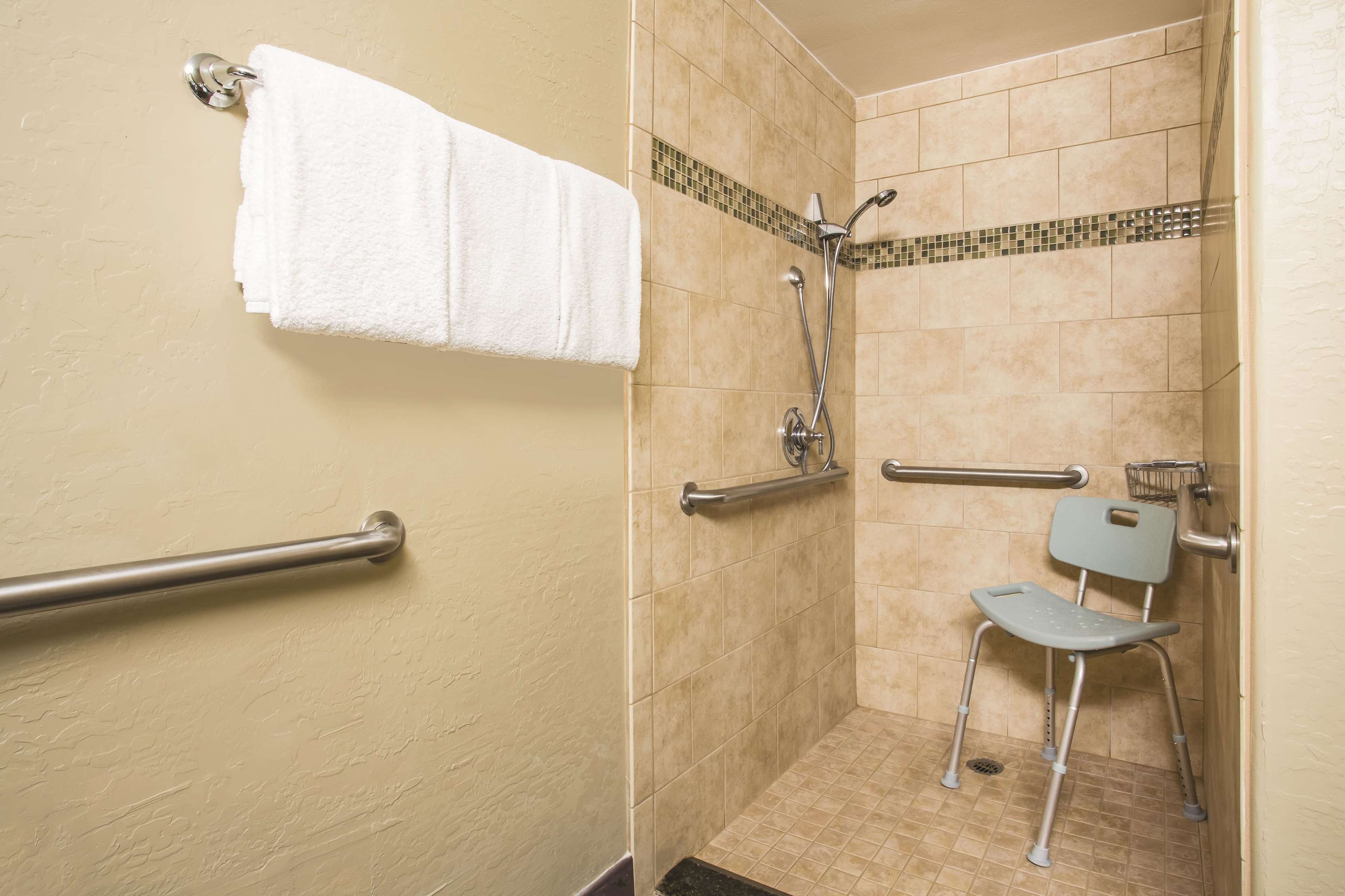 room, 1 king bed, accessible, non smoking (mobility accessible) | bathroom | combined shower/bathtub, free toiletries, hair dryer, towels