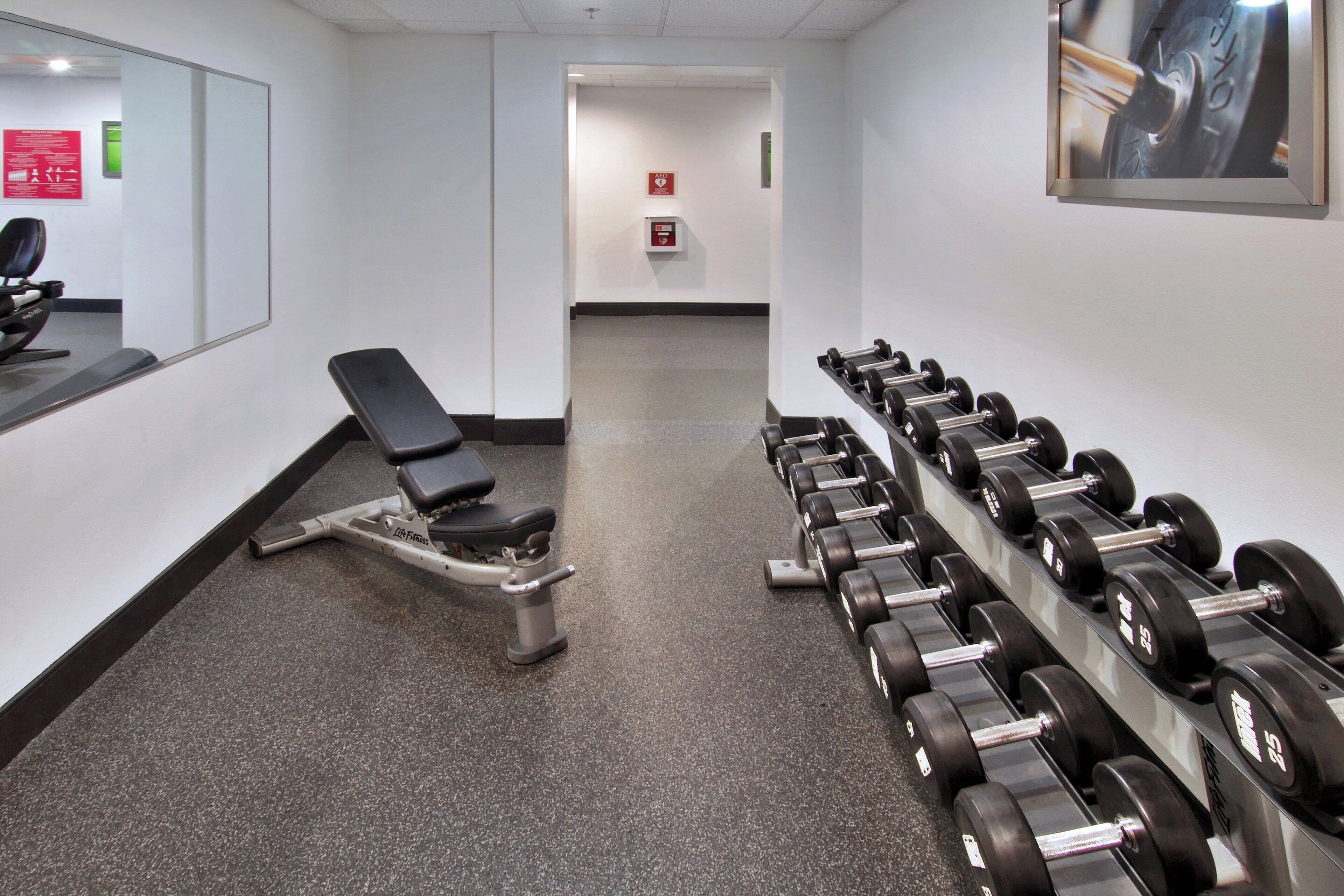 A gym with a bench, dumbbells, and a mirror.